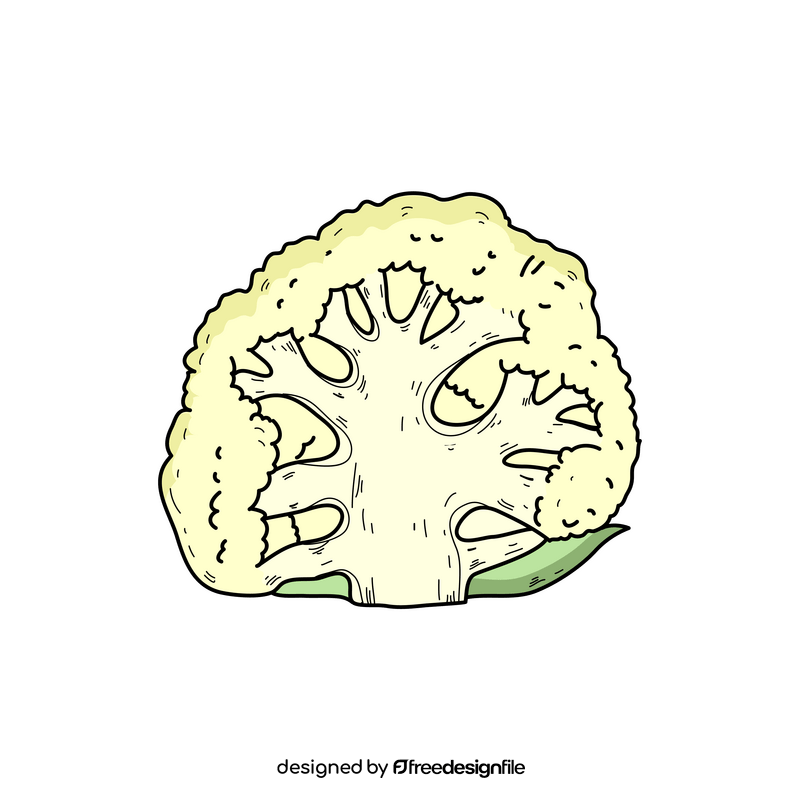 Cauliflower slice clipart