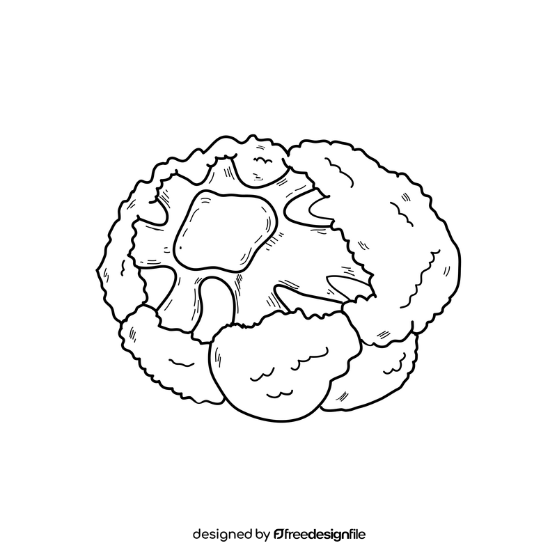 Cauliflower cut drawing black and white clipart