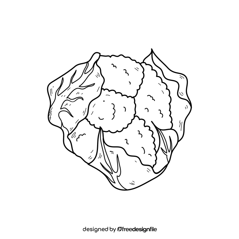 Cauliflower cartoon drawing black and white clipart