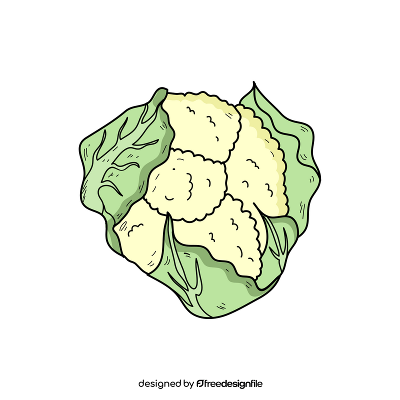 Cauliflower cartoon drawing clipart