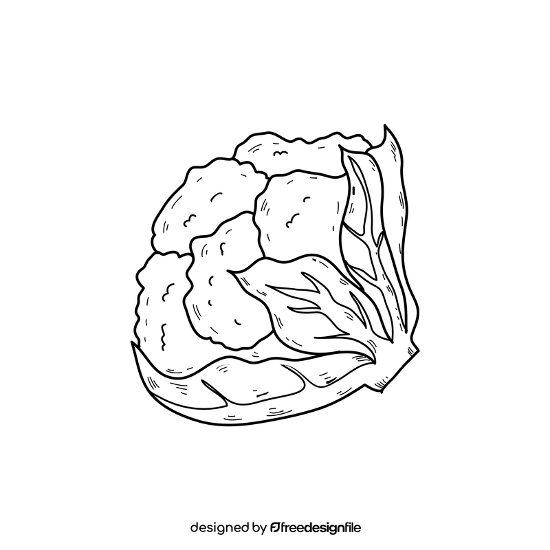 Cauliflower vegetable drawing black and white clipart