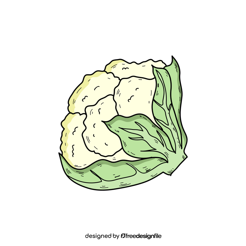 Cauliflower vegetable drawing clipart