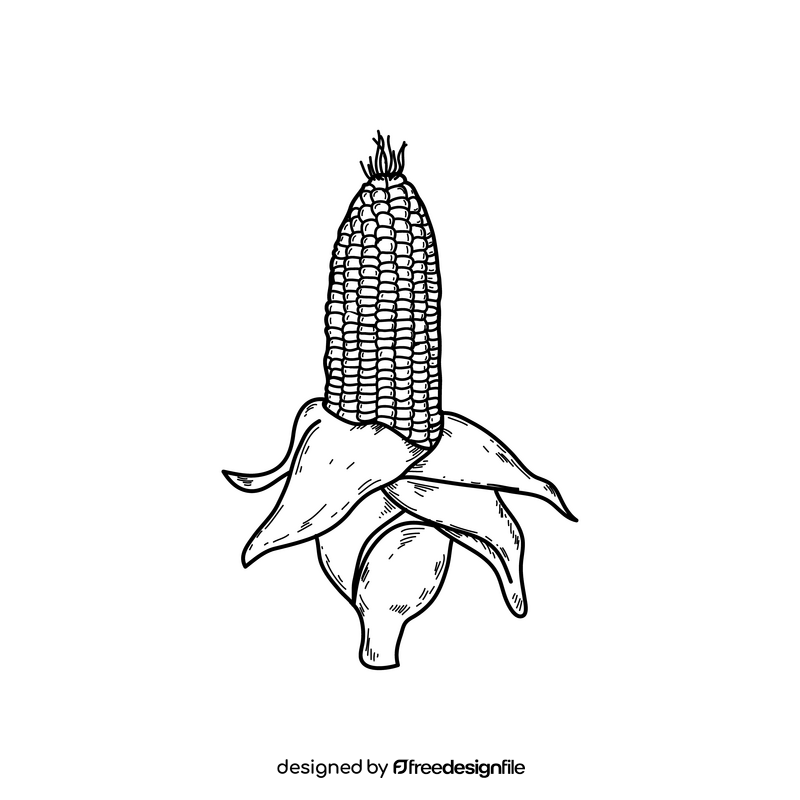 Corn easy drawing black and white clipart