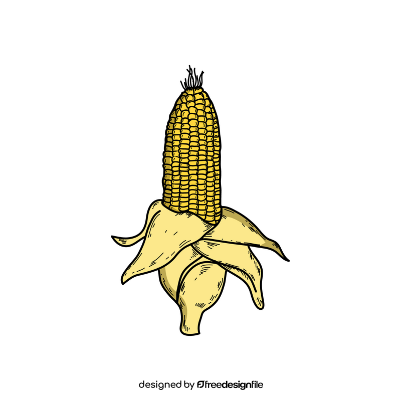 Corn easy drawing clipart