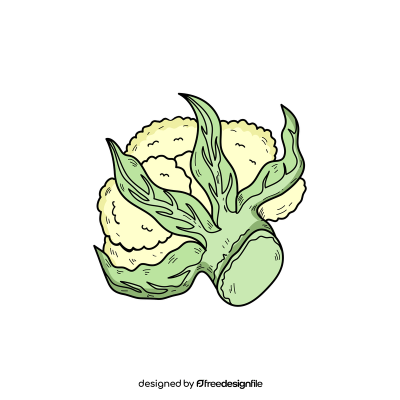 Cauliflower cartoon drawing clipart