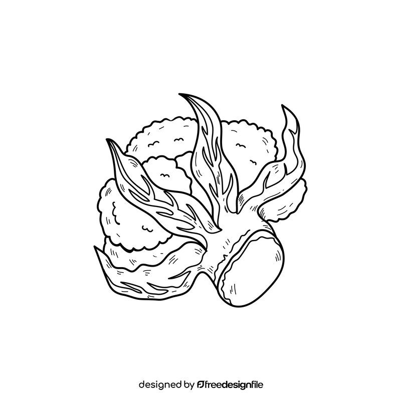 Cauliflower cartoon line drawing black and white clipart