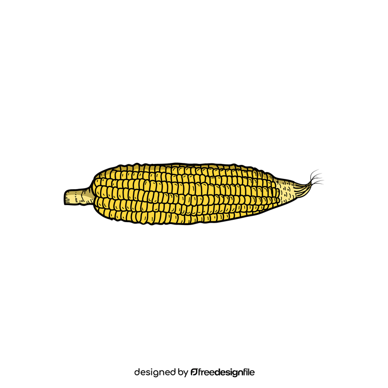 Corn sketch clipart