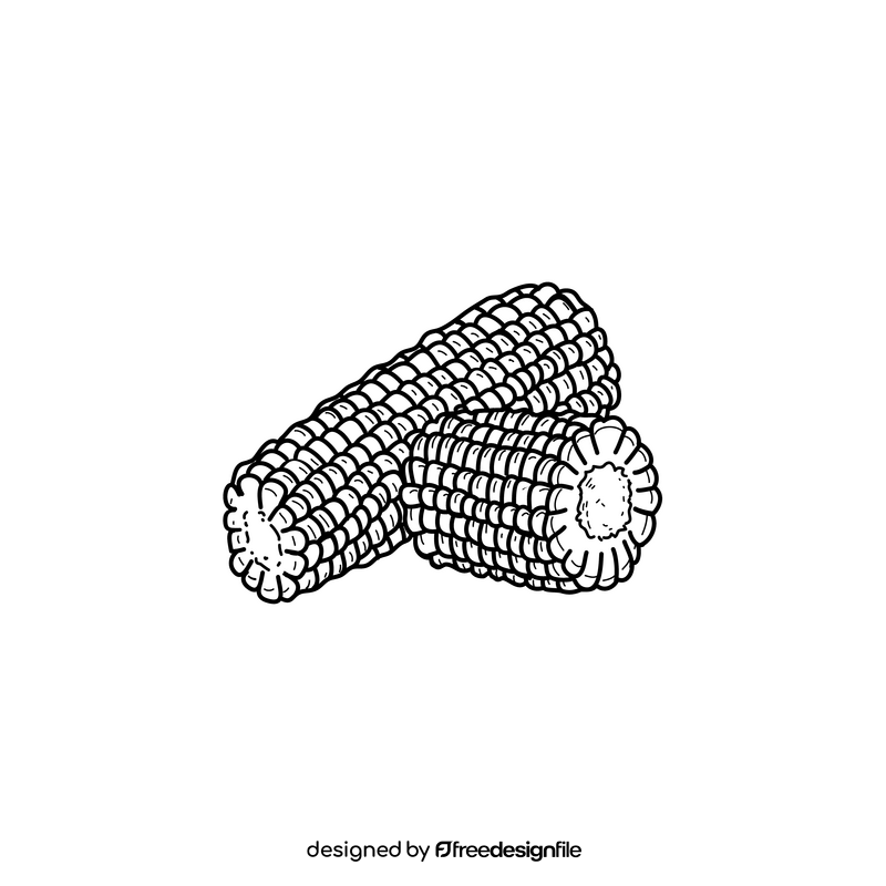 Corn realistic black and white clipart