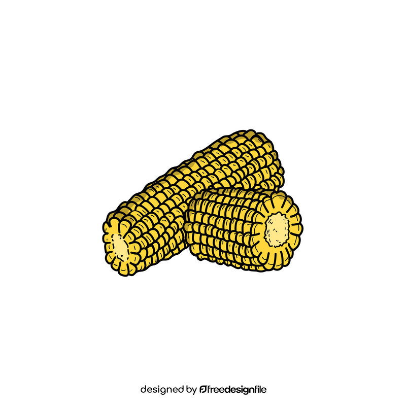 Corn realistic clipart