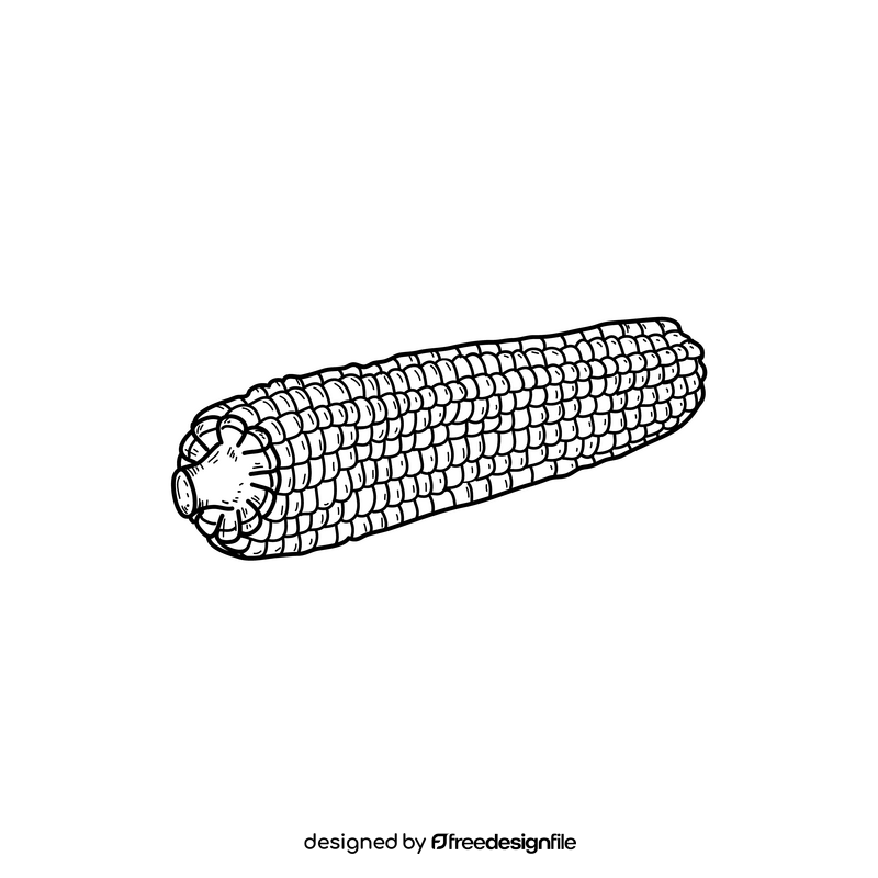 Corn black and white clipart