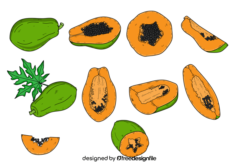Papaya drawing set vector