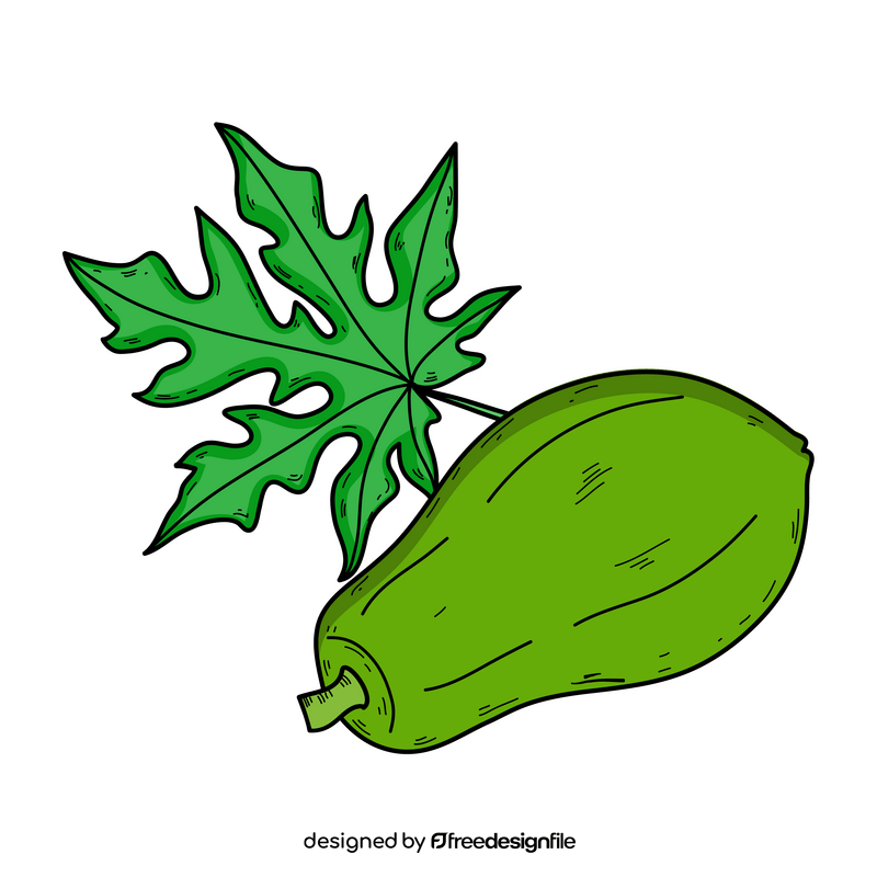 Papaya with leaf clipart