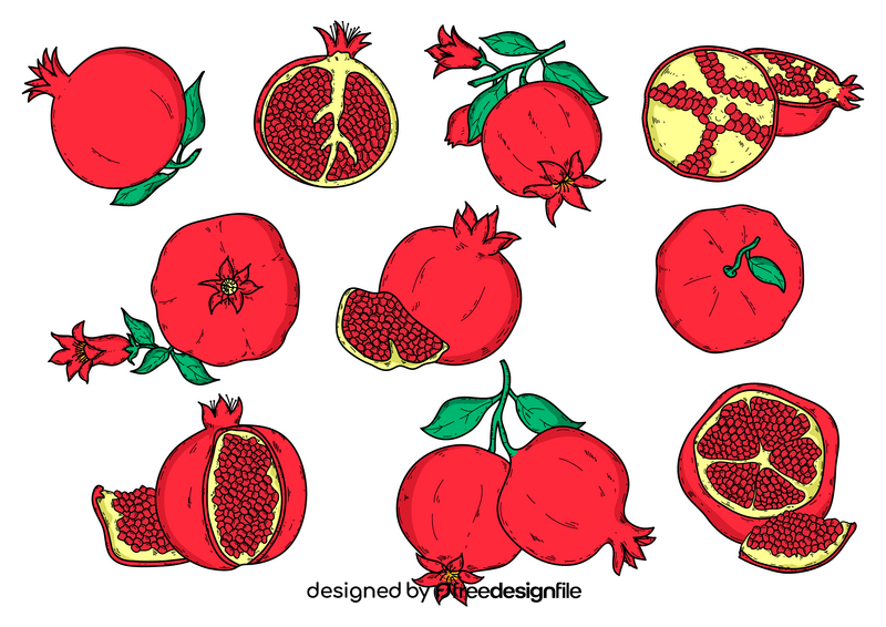 Pomegranate drawing set vector