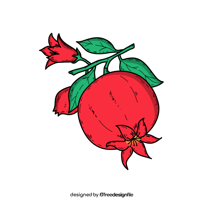 Pomegranate branch drawing clipart