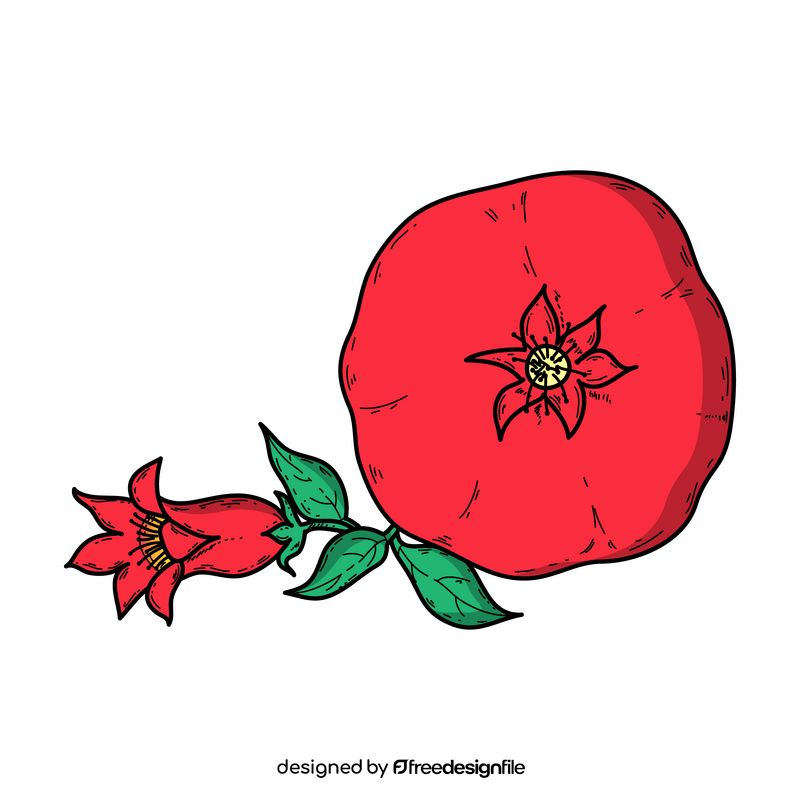 Pomegranate with flower drawing clipart