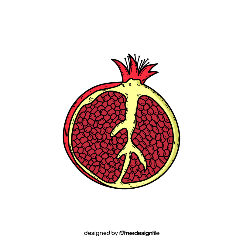 Pomegranate drawing clipart