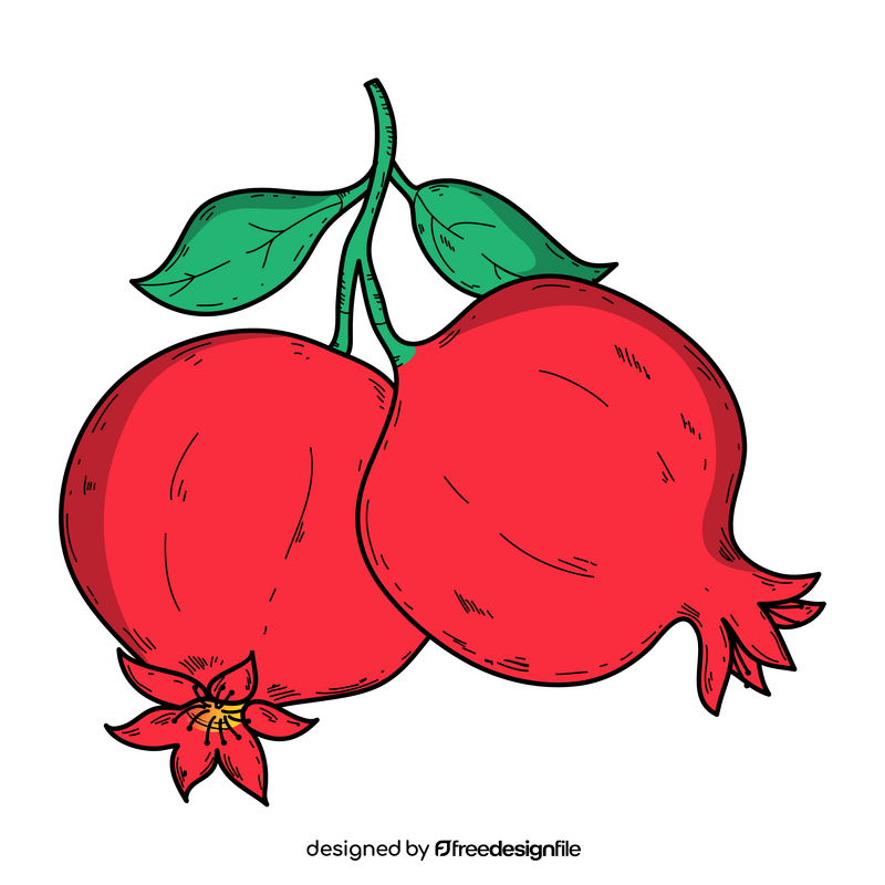 Pomegranates drawing clipart
