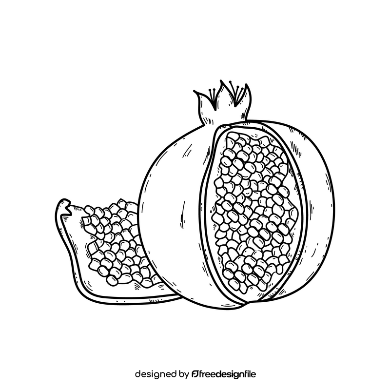 Pomegranate fruit drawing black and white clipart