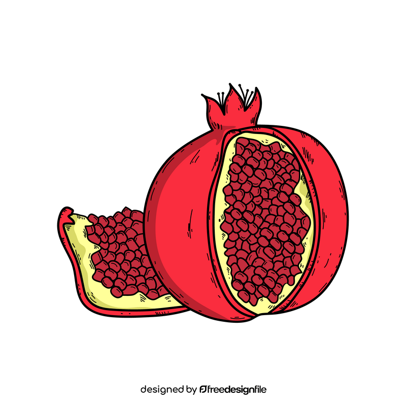 Pomegranate fruit drawing clipart