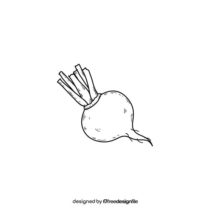 Radish drawing black and white clipart
