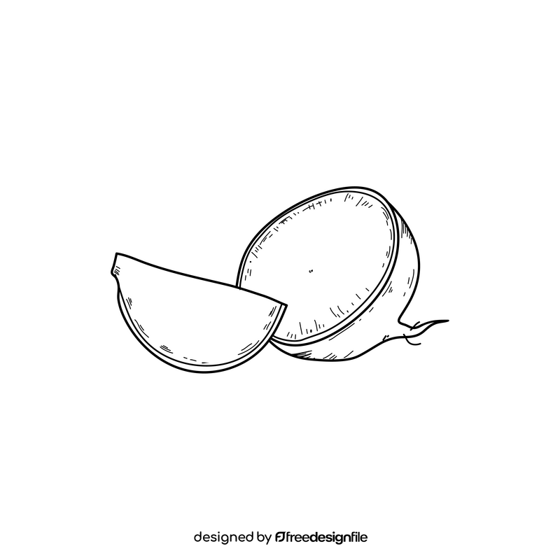 Radish cut drawing black and white clipart