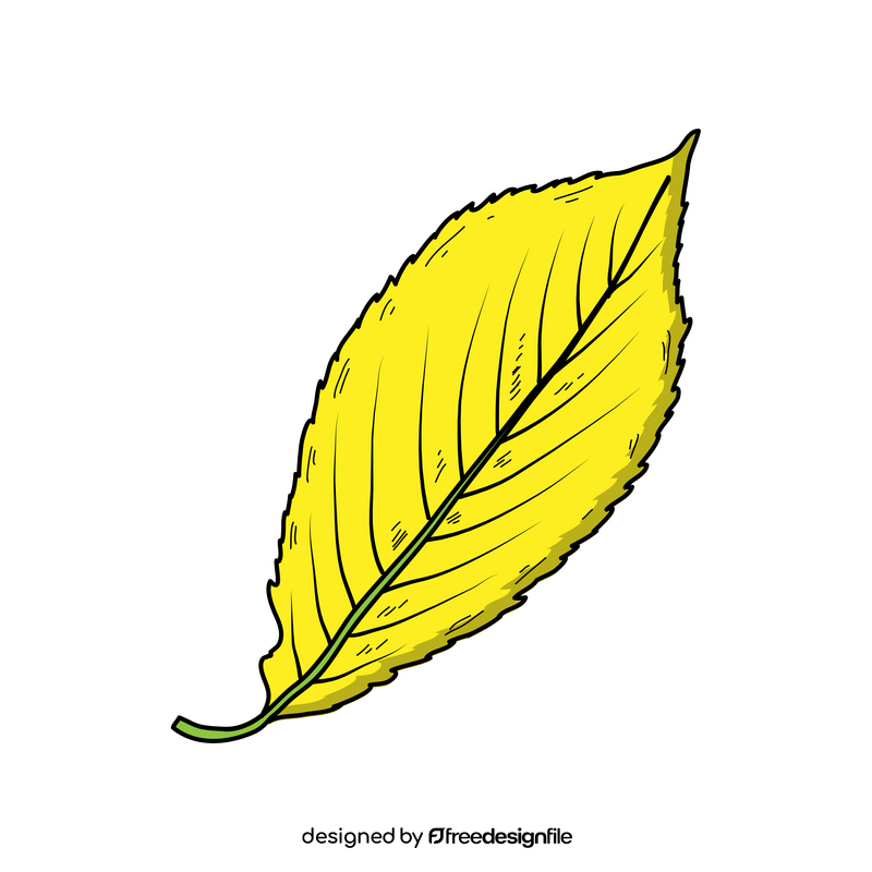 Fall leaf drawing clipart