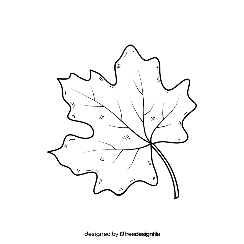 Autumn leaf drawing black and white clipart