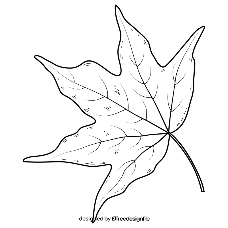 Fall leaf drawing black and white clipart