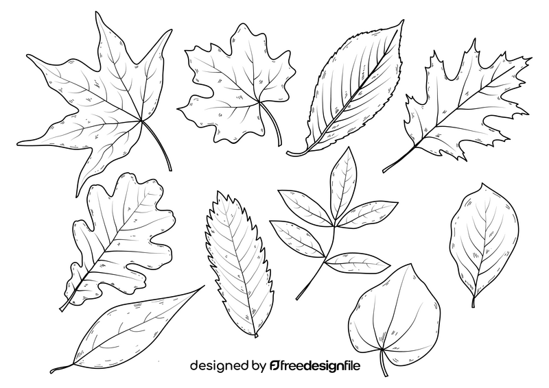 Fall leaves drawing black and white vector