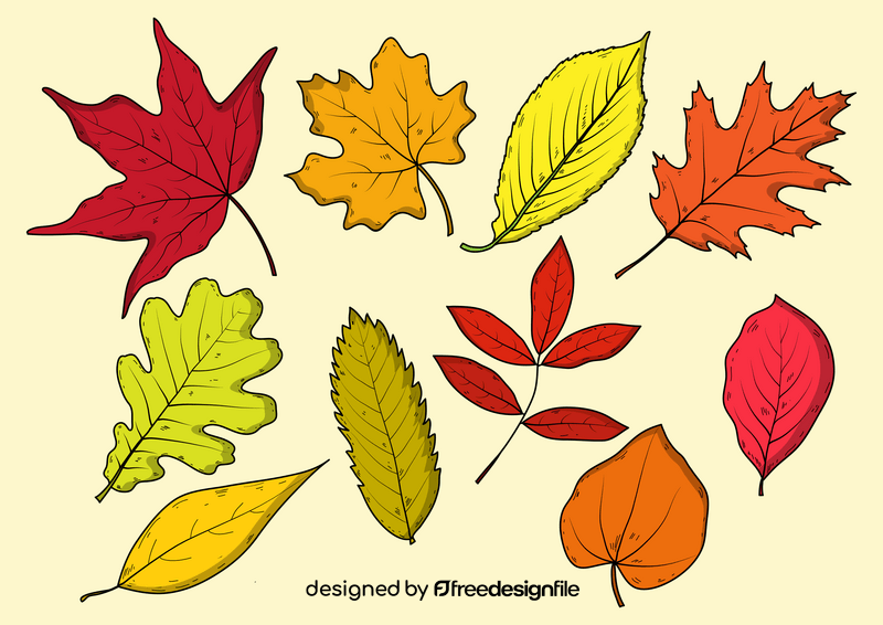 Fall leaves drawing vector
