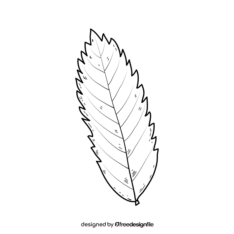 Autumn leaf line drawing black and white clipart