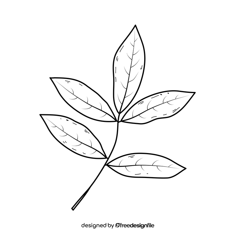 Fall leaves drawing black and white clipart