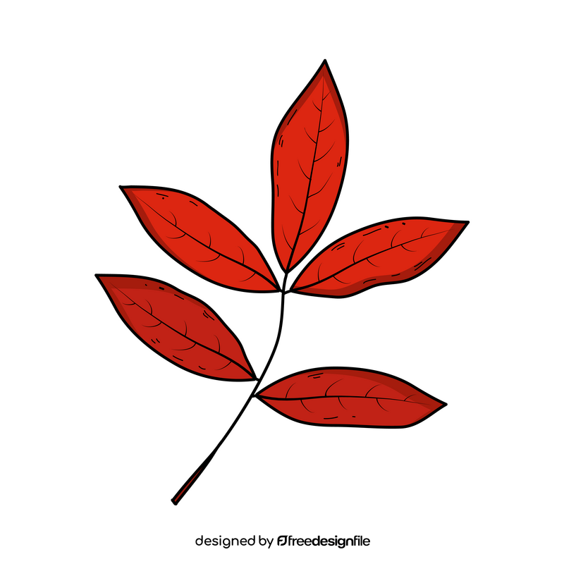 Fall leaves drawing clipart