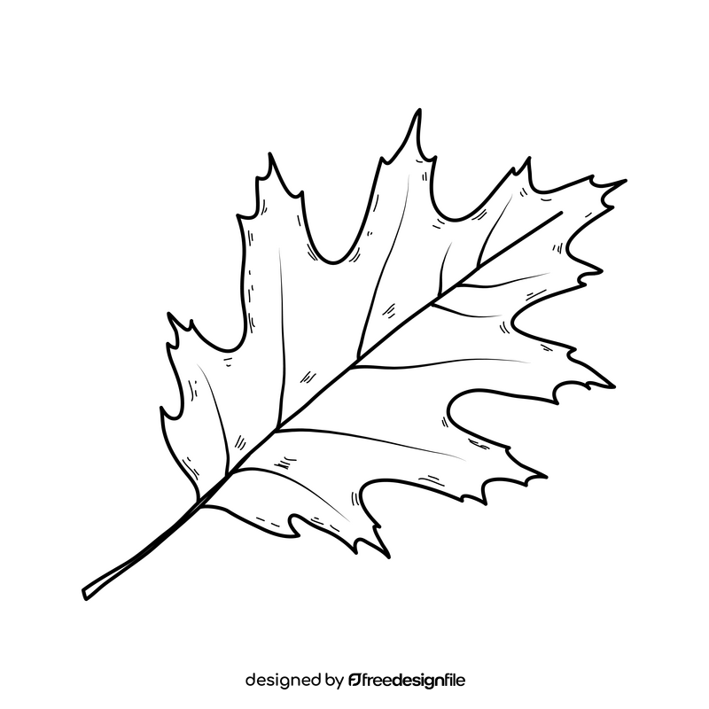 Red autumn leaf black and white clipart