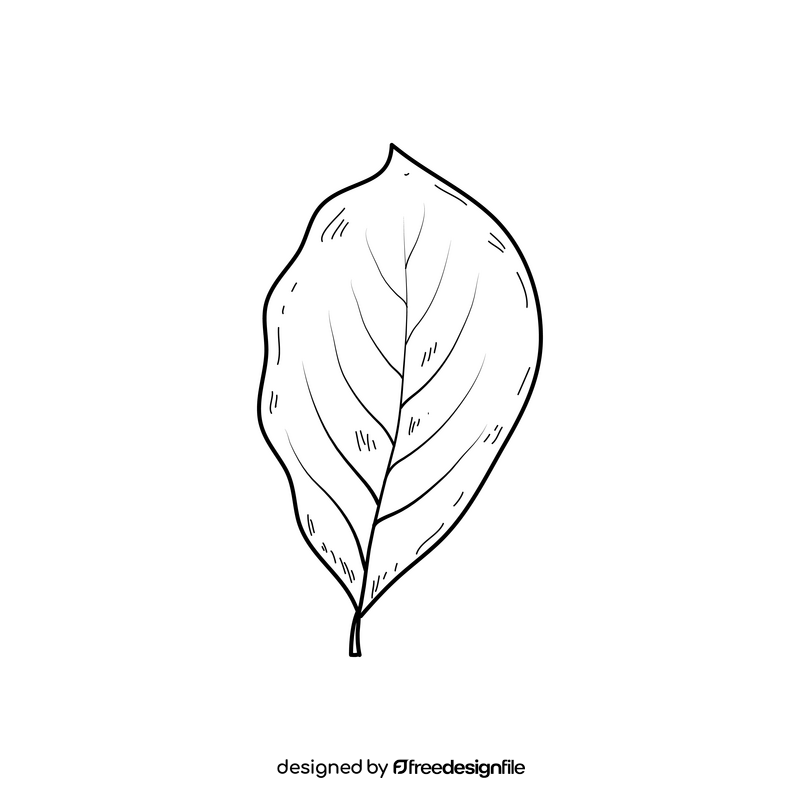 Simple fall leaf black and white clipart