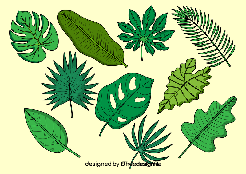 Palm leaves drawing vector