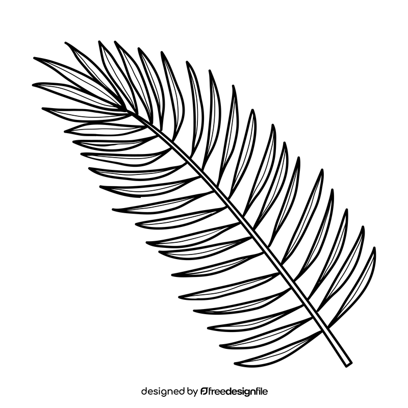 Jungle palm leaf drawing black and white clipart