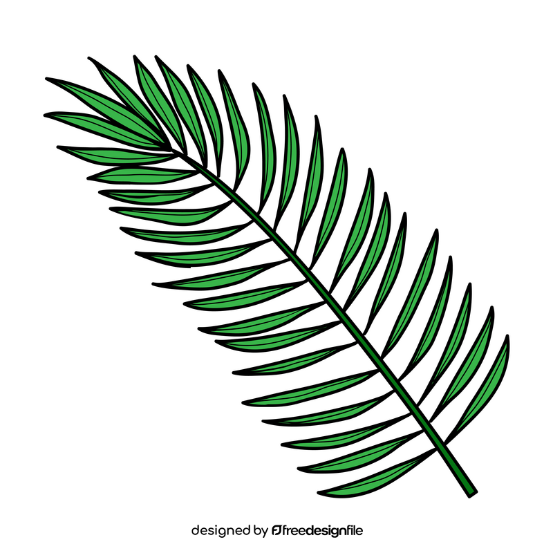 Jungle palm leaf drawing clipart