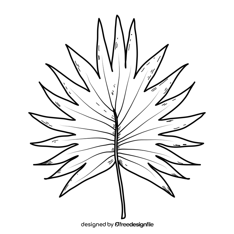 Tropical palm leaf drawing black and white clipart