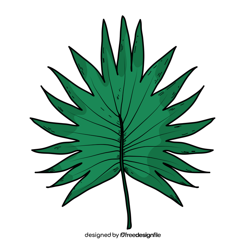 Tropical palm leaf drawing clipart