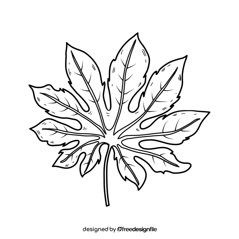 Exotic palm leaf drawing black and white clipart