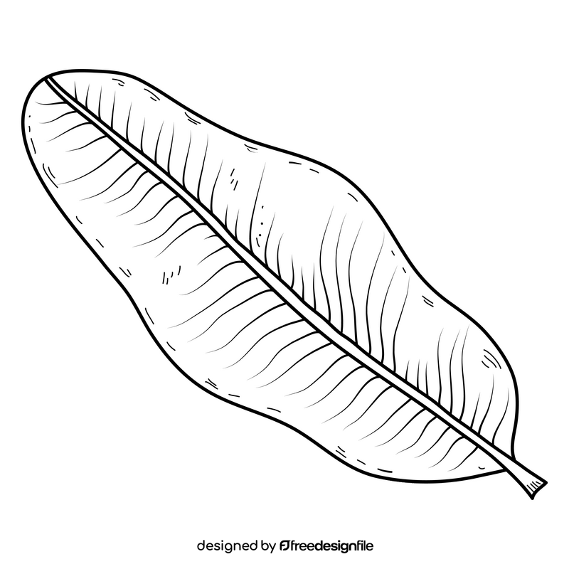 Palm leaf drawing black and white clipart