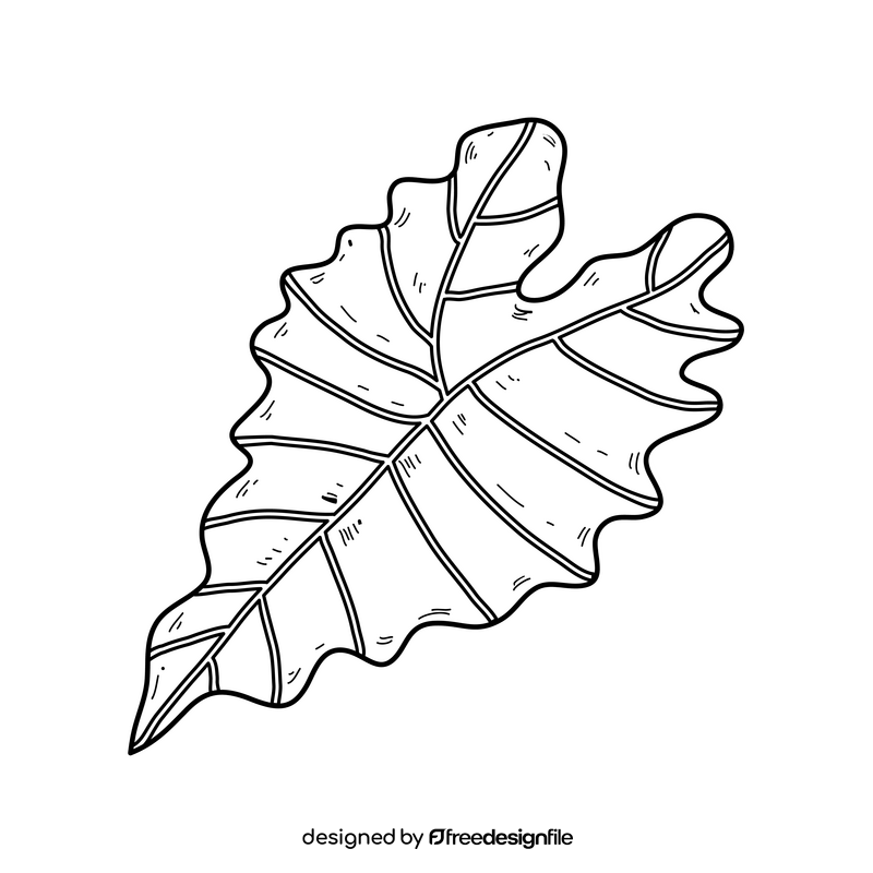 Palm leaf black and white clipart