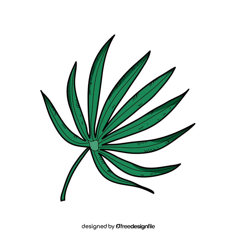 Tropical palm tree leaf drawing clipart
