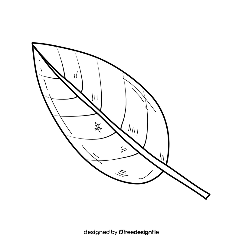 Green palm leaf black and white clipart