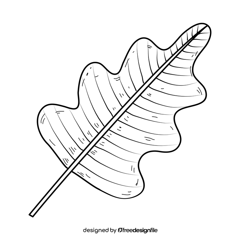 Palm leaf drawing black and white clipart