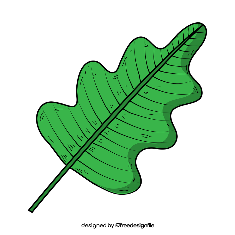 Palm leaf drawing clipart