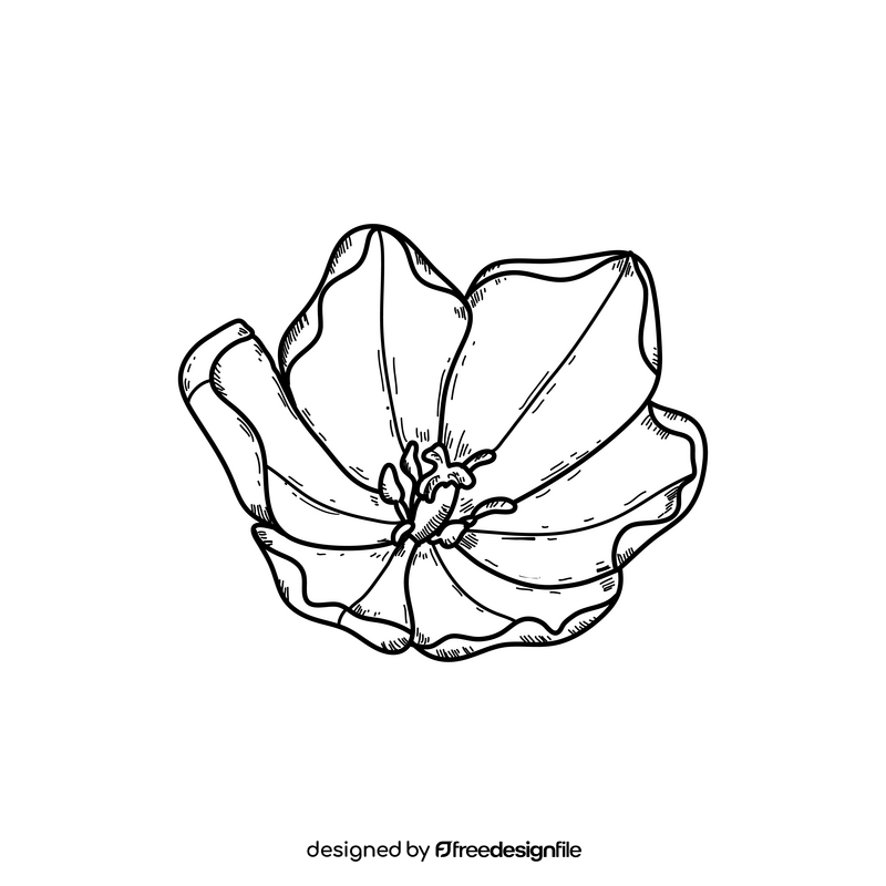Yellow tulip drawing black and white clipart