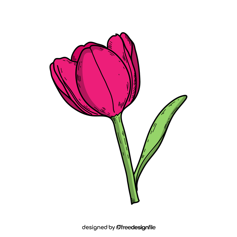 Tulip flower drawing clipart free download