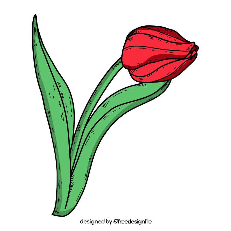Red tulip drawing clipart